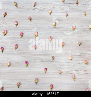 De nombreux boutons de fleurs rose rose sur planche en bois carré Banque D'Images