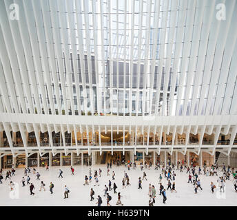 Cathédrale-comme l'intérieur de l'hôtel de transit plate-forme d'observation au niveau de la rue. L'Oculus, World Trade Center Transportation Hub, New York, United States. Architecte : Santiago Calatrava, 2016. Banque D'Images