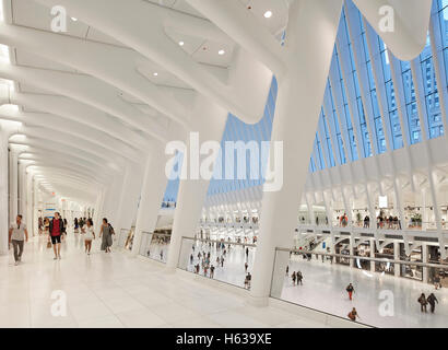 Comme le transport en commun de la Cathédrale Vue de l'intérieur de couloir. L'Oculus, World Trade Center Transportation Hub, New York, United States. Architecte : Santiago Calatrava, 2016. Banque D'Images