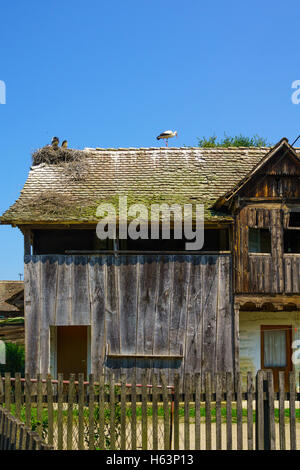 Maison en bois typique, avec des cigognes nichent sur le toit, dans le village Cigoc, zone de Lonjsko Polje, Croatie Banque D'Images