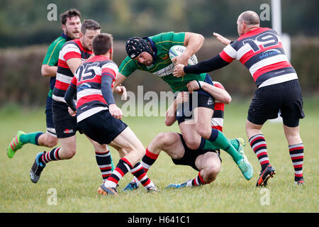 NDRFC 1XV vs Frome RFC 1er XV - Dorset, Angleterre. NDRFC player à résoudre. Banque D'Images