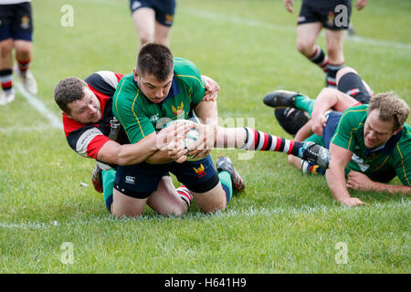 NDRFC 1XV vs Frome RFC 1er XV - Dorset, Angleterre. Un joueur des NDRFC essayer. Banque D'Images