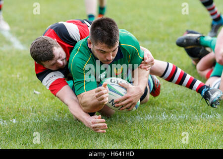 NDRFC 1XV vs Frome RFC 1er XV - Dorset, Angleterre. Un joueur des NDRFC essayer. Banque D'Images