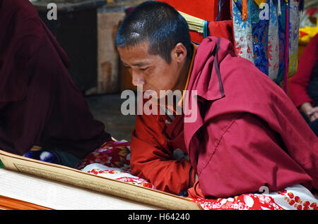 Un moine bouddhiste lit à partir d'un livre de prières, Monastère de Khumjung, Solukhumbu, Népal Banque D'Images