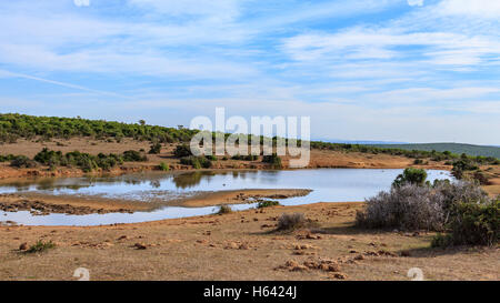 Petit plan d'eau avec un ciel bleu nuageux dans Addo Afrique du Sud Banque D'Images