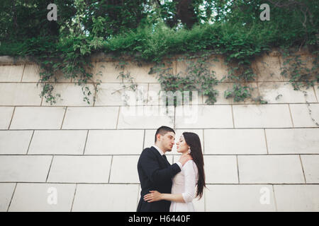 Luxe magnifique couple de mariage près de Great Wall Banque D'Images