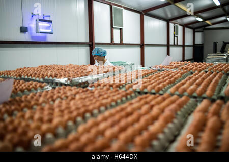 Le personnel féminin using digital tablet Banque D'Images