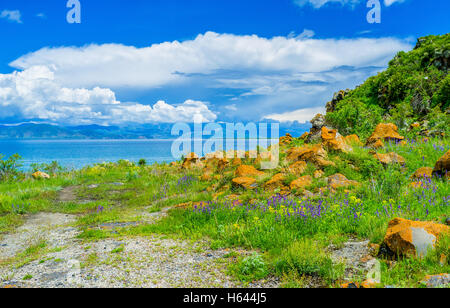 Les blocs d'orange, couverts de lichen et de mousse sur la prairie parmi les fleurs colorées, sur la rive de lac Sevan, Hayravank Banque D'Images