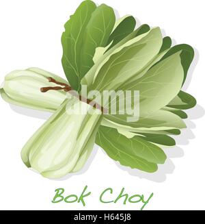 Le Bok choy vecteur isolé légumes Illustration de Vecteur