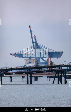 London Gateway vu de Southend de l'orifice Haven Creek Banque D'Images