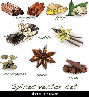 Épices vector set isolated Illustration de Vecteur