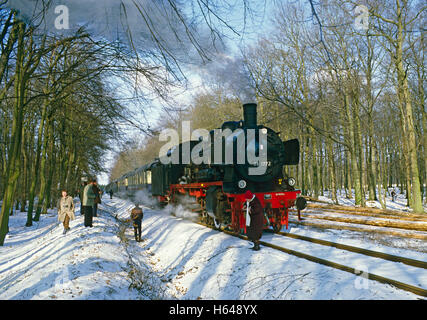 Excursion en train à vapeur à partir de Muenster avec P8 class loco no. 38 1772 en forêt près de Warstein, Rhénanie du Nord-Westphalie Banque D'Images