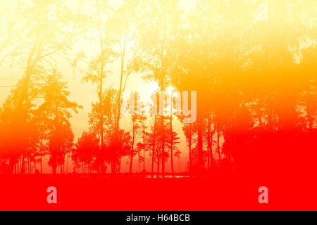 Belle Forêt de feu dans des tons rouges photographiés en gros plan Banque D'Images