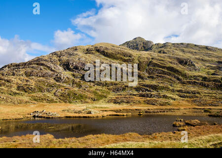 Piscine près de montagne y Bwlch Battel ci-dessous Cnicht Mountain dans le parc national de Snowdonia en automne. Gwynedd au Pays de Galles Royaume-uni Grande-Bretagne Banque D'Images