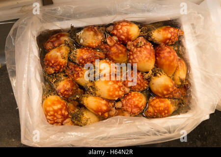 Blocage de fruits de mer dans la région de Tongin, Tongindong Marché, Séoul, Corée Banque D'Images