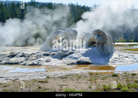 Grotte de vapeur dans la région de geyser Geyser basin de Parc National de Yellowstone, Wyoming Banque D'Images