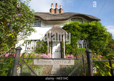 Cottage de ruche, Swan Green, Lyndhurst, New Forest, Hampshire, England, UK Banque D'Images