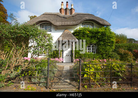 Cottage de ruche, Swan Green, Lyndhurst, New Forest, Hampshire, England, UK Banque D'Images