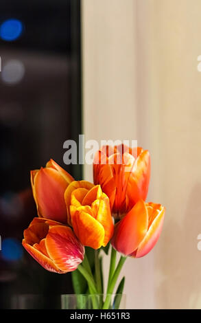 Bouquet de tulipes rouge-orange à la verticale. Banque D'Images