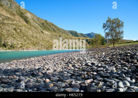 Rivière de Sibérie à Katun montagnes de l'Altaï Banque D'Images