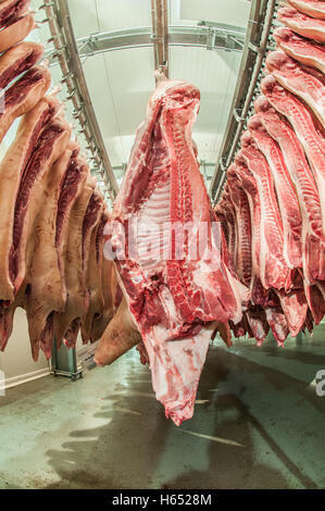 La viande fraîche de porcs dans une usine de coupe à froid Banque D'Images