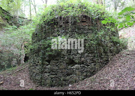 À l'intérieur d'une ruine d'une tour de défense en Autriche. L'un des maximilianic tours qui ont été construites dans le 19. siècle en réaction à l'état de siège de Napoléon. Banque D'Images