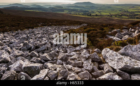 En regardant vers Corndon Hill et de la Mid Wales Stiperstones Ridge près de Snailbeach, Shropshire, England, UK Banque D'Images