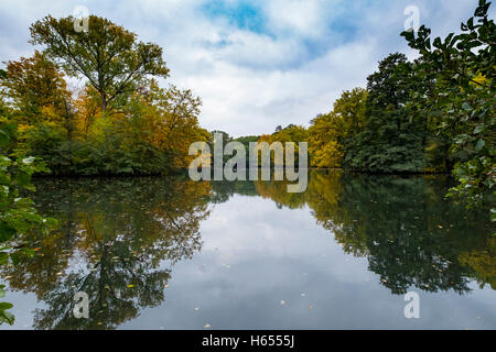 Vue du lac et arbres en automne dans le parc du Tiergarten à Berlin Allemagne Banque D'Images