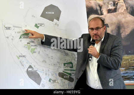 Prague, République tchèque. 24 Oct, 2016. Directeur du Zoo de Prague Miroslav by Bobek tiendra une conférence de presse sur les projets de construction prévus en 2017 - 2022 zoo de Prague, en République tchèque, le Lundi, Octobre 24, 2016. © Michal Kamaryt/CTK Photo/Alamy Live News Banque D'Images