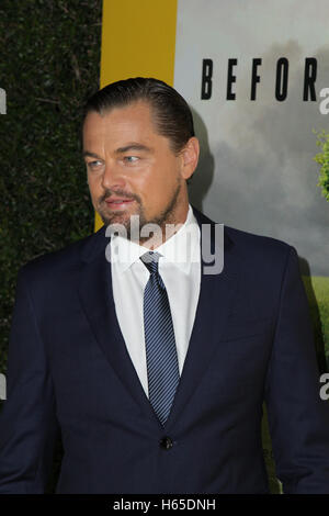 Los Angeles, CA, USA. 24 Oct, 2016. Leonardo DiCaprio assiste à la projection de National Geographic Channel's 'avant le déluge' avec Bing Theatre au LACMA le 24 octobre 2016 à Los Angeles, Californie. ( Crédit : Parisa Afsahi/Media Punch)./Alamy Live News Banque D'Images