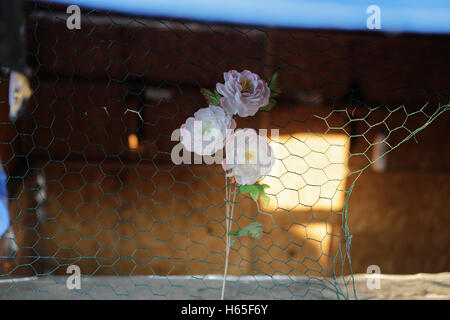 Calais, France. 25 octobre, 2016. Quelqu'un a été mis quelques fleurs sur la fenêtre d'un magasin abandonné. Un peu moins de 2000 réfugiés devraient être versés à partir de la Jungle à différentes zones de France le 2ème jour de l'expulsion de la Jungle à Calais. Il est également prévu que la démolition du camp va commencer. Crédit : Michael Debets/Alamy Live News Banque D'Images