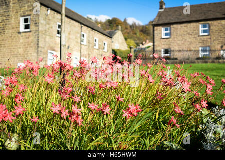 Lea, Derbyshire, Royaume-Uni. 25 octobre, 2016. Le petit village de Lea et Bow wood, plus célèbre résident a été Florence Nightingale dont la famille accueil Lea Hurst est dans le village. Crédit : Ian Francis/Alamy Live News Banque D'Images