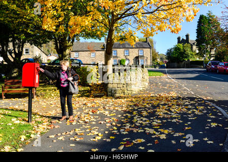 Lea, Derbyshire, Royaume-Uni. 25 octobre, 2016. Le petit village de Lea et Bow wood, plus célèbre résident a été Florence Nightingale dont la famille accueil Lea Hurst est dans le village. Crédit : Ian Francis/Alamy Live News Banque D'Images