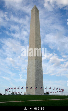 Drapeaux américains 50 soufflent dans le vent comme ils circle le Washington Monument sur un jour d'été. Banque D'Images