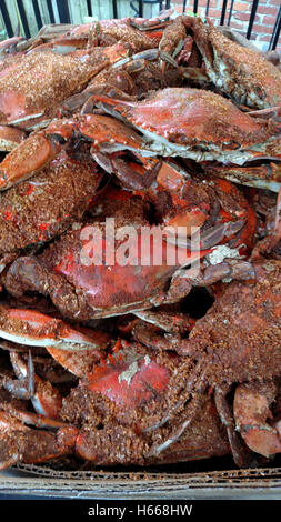 Crabes bleus à la vapeur douce, Washington , D.C. Chesapeake Bay, fruits de mer, de crustacés, d'été, l'art culinaire, de traiter, de Potomac. Banque D'Images