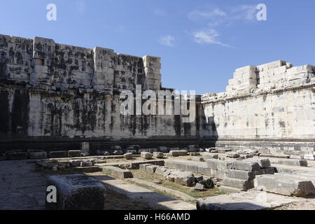 Avis de Temple of Apollo dans la ville antique de Didymes - TURQUIE Banque D'Images