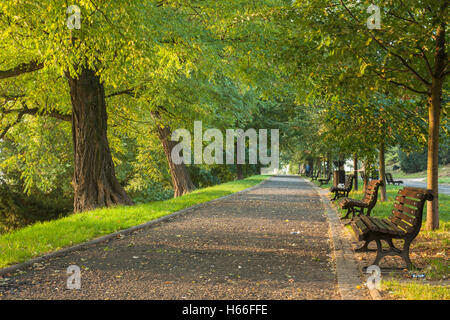 Matin d'automne en vieille ville Parc Staromiejski (parc), Wroclaw, Pologne. Banque D'Images