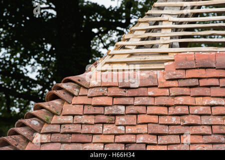 La construction de toit sur une maison médiévale avec peg Kentish Weald et tuiles à Downland Open Air Museum, Singleton, Sussex, Angleterre Banque D'Images