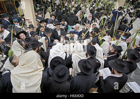 Une grande foule de personnes lors de Souccot matin contre une synagogue de Brooklyn, New York Banque D'Images