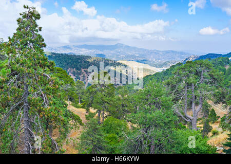 La vue depuis la place de Troodos sur le Grand National Forest Park, à Chypre. Banque D'Images