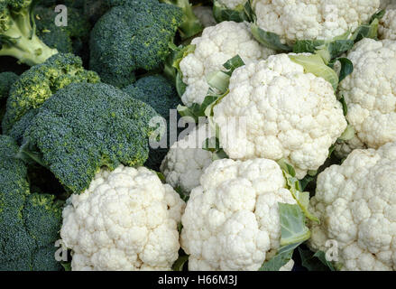 Chefs de produits frais Chou-fleur et brocoli Banque D'Images