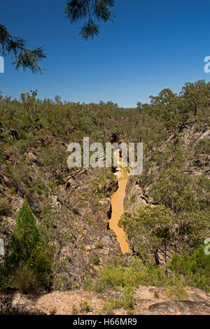 Vue spectaculaire des gorges profondes Robinson & stream à la base des falaises de grès robuste enveloppée dans les arbres dans le parc national de l'expédition à distance en Australie Banque D'Images