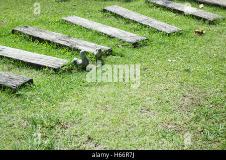 L'étape de piétons dans le jardin, stock photo Banque D'Images