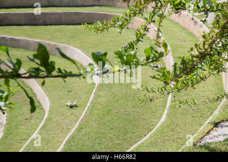 Branche d'arbre dans le parc, stock photo Banque D'Images