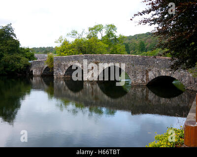 Les cinq-arquée pont de pierre sur la rivière Leven, Newby Bridge Lake District, Cumbria, Royaume-Uni. Banque D'Images