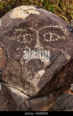 Face à Jornada Mogollon style rock art aux Trois Rivières Site de pétroglyphes, Désert de Chihuahuan près de la Sierra Blanca, New Mexico, USA Banque D'Images