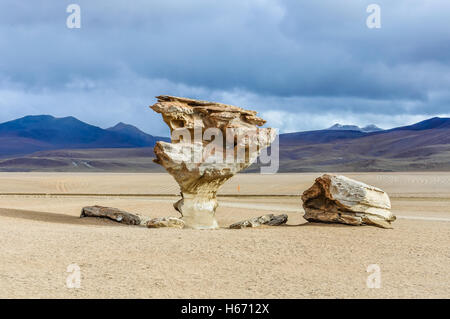 Salvador Dali rock arbre dans le haut plateau andin desert en Bolivie Banque D'Images