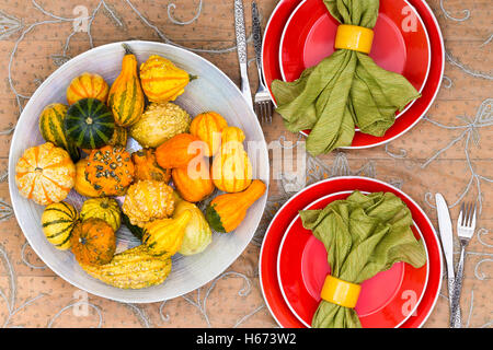 Les courges d'automne ornementales disposées sur une grande plaque dans une table avec deux couverts orange avec serviettes vert alongs Banque D'Images