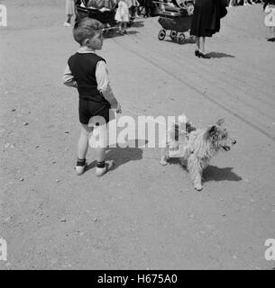 Petit garçon au chien en laisse, Danbury, Connecticut, USA, Fenno Jacobs pour le Bureau de la guerre de l'information, mai 1942 Banque D'Images