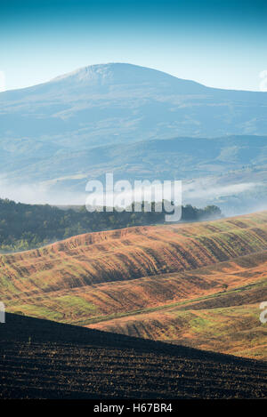 San Quirico d'Orcia, Toscane, Italie, paysage, l'Europe de l'UE Banque D'Images